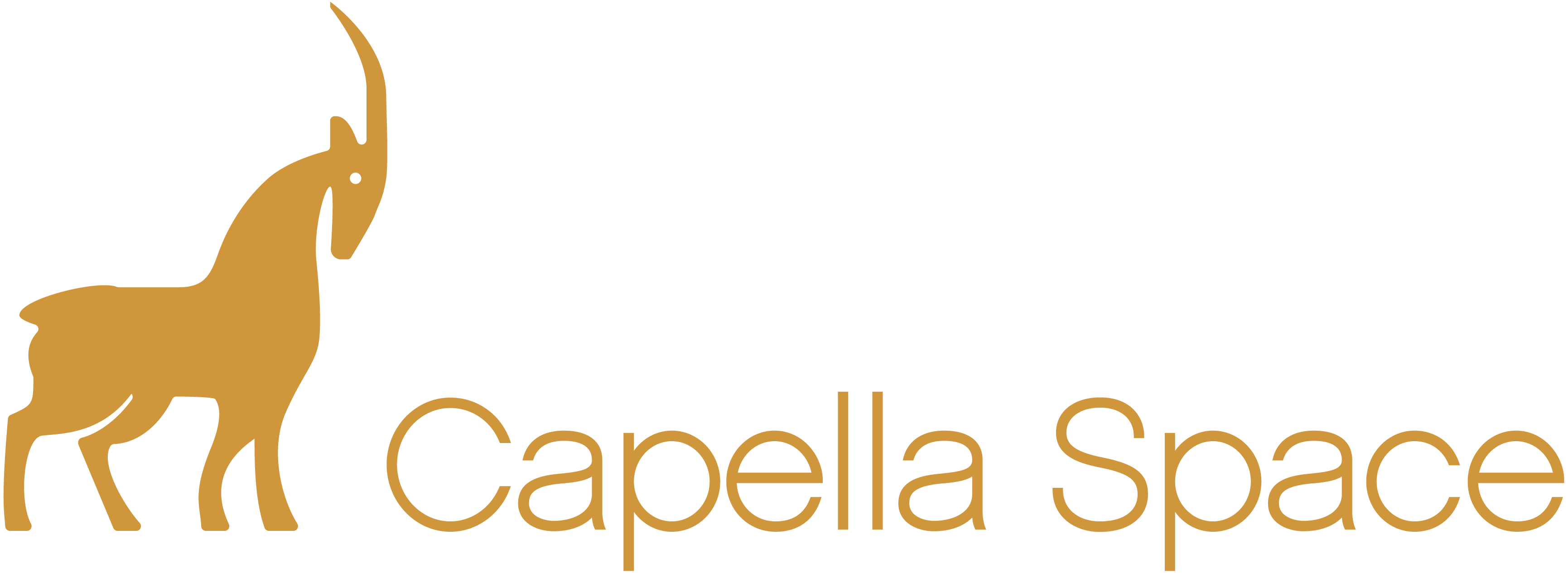 capella_sapce_horizontal_full_logo_coppper-1