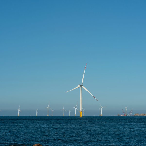 magnificent offshore wind farm