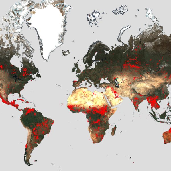 Worldwide_fires_from_ESA_s_World_Fire_Atlas